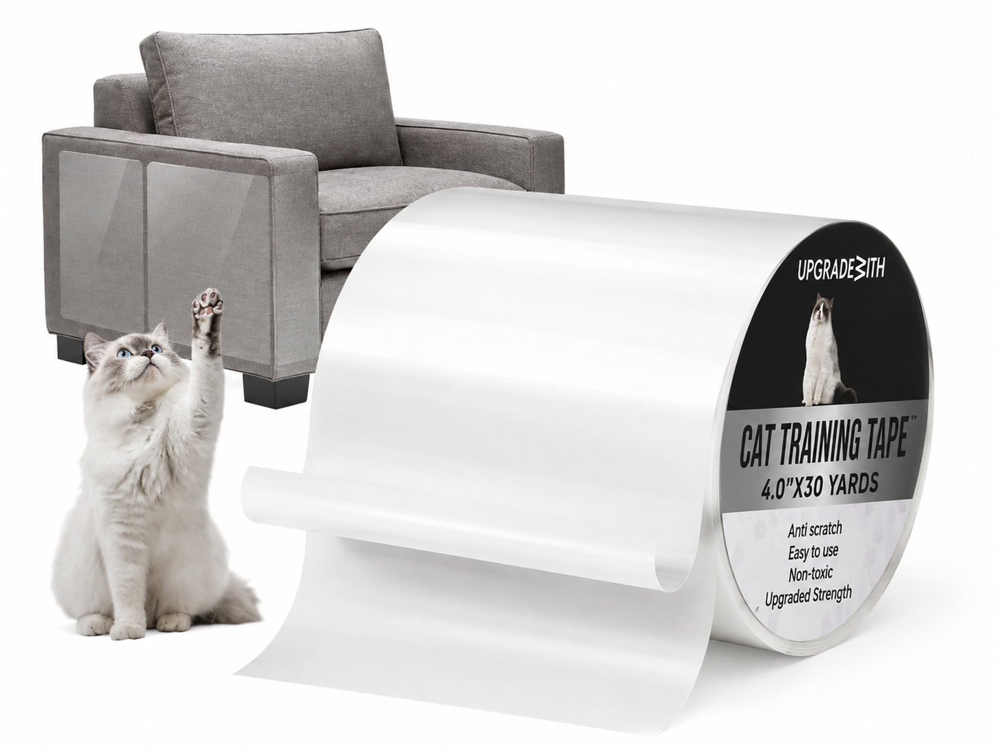 Laser Pointer Toy