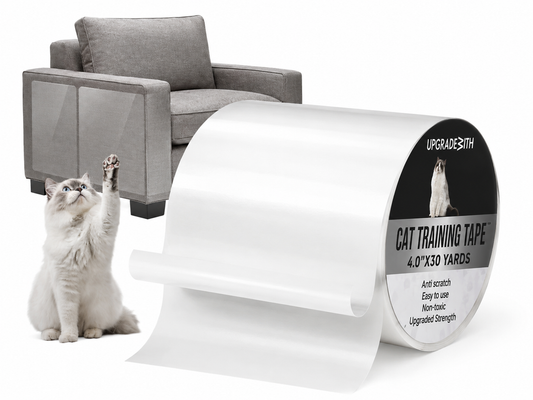 Laser Pointer Toy