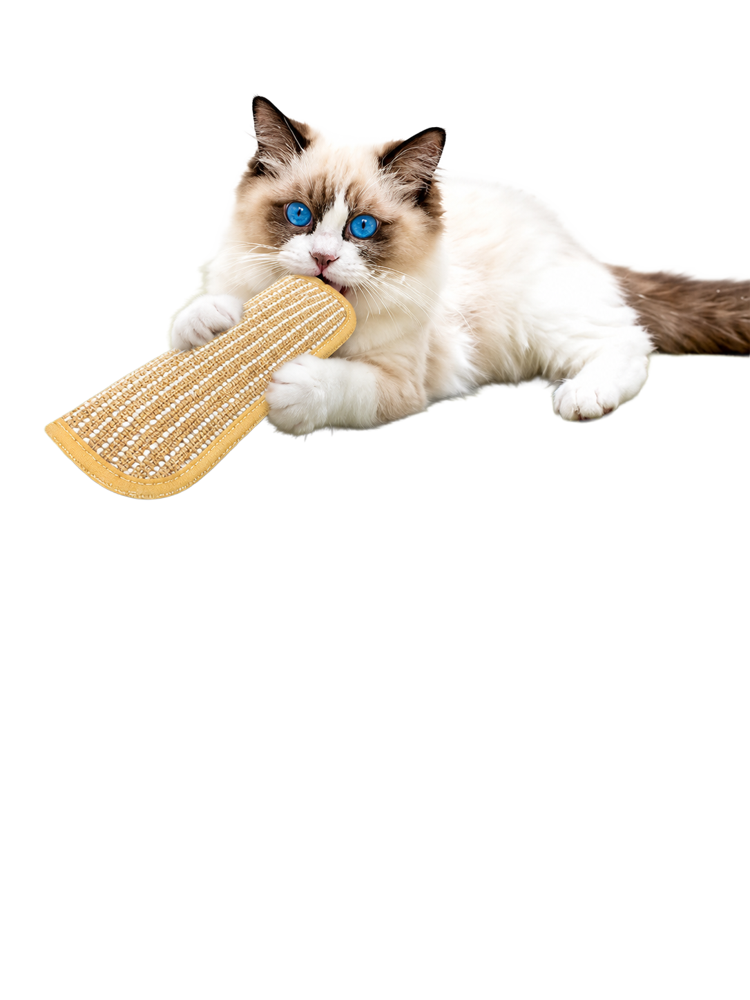 Catnip Pillow Kicker Toy